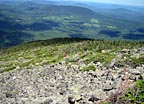 Above Treeline