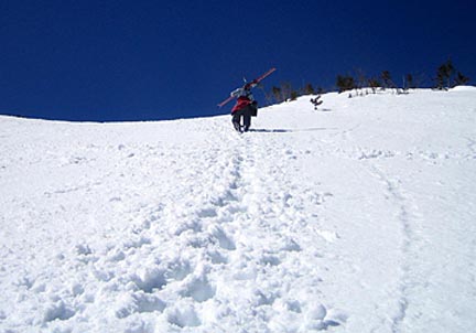 Earning our Turns