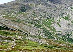 Above Tuckerman